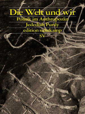 cover image of Die Welt und wir